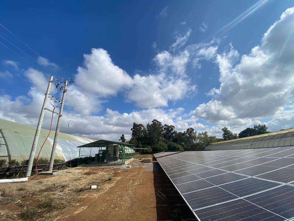 Waridi Flowers — array edge and grid connection beside the greenhouses